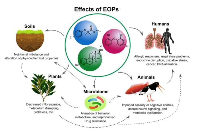 Why Is Human Health Important